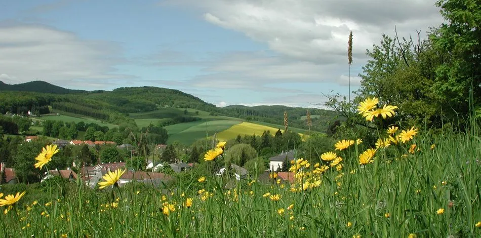 Hotel Rosner